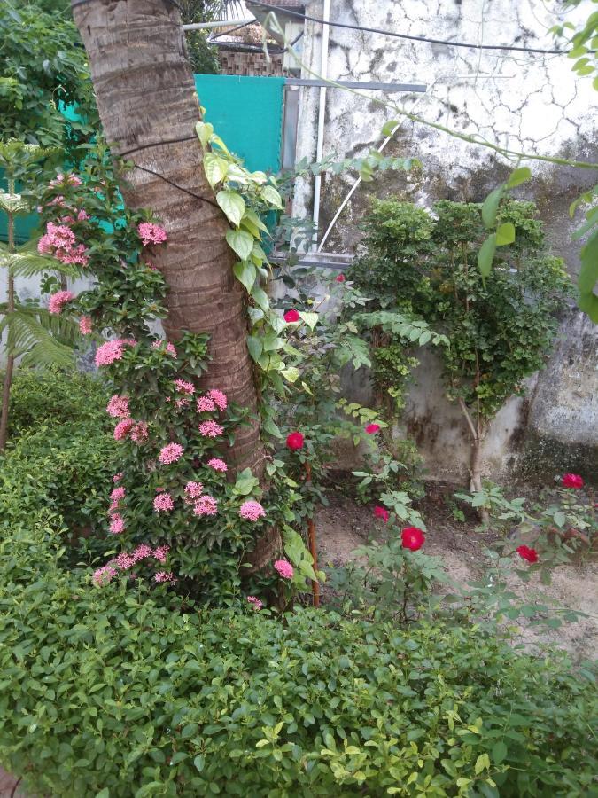 古鲁古拉平房 Dwārka 外观 照片